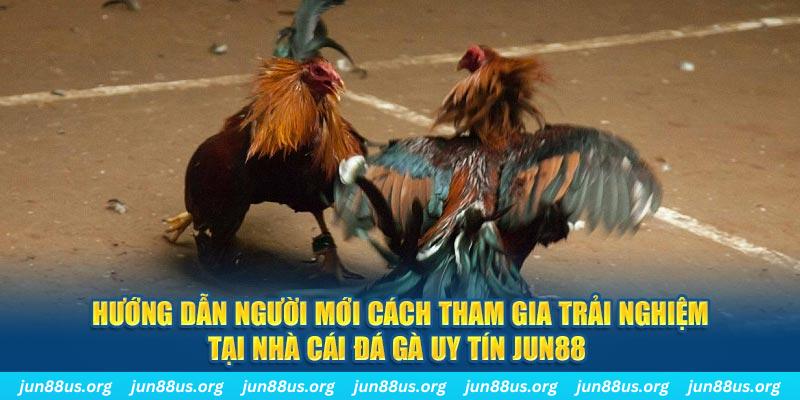 ret88 loi game dot kich ket noi may chu that bai