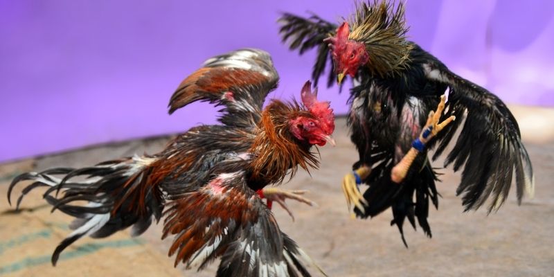 ret88 KM Game Bài 3d