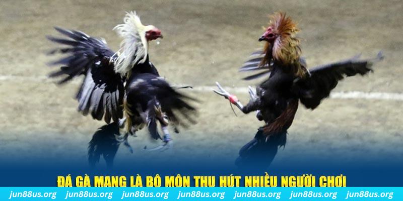 ret88 tại sao tải game bài sunwin không được