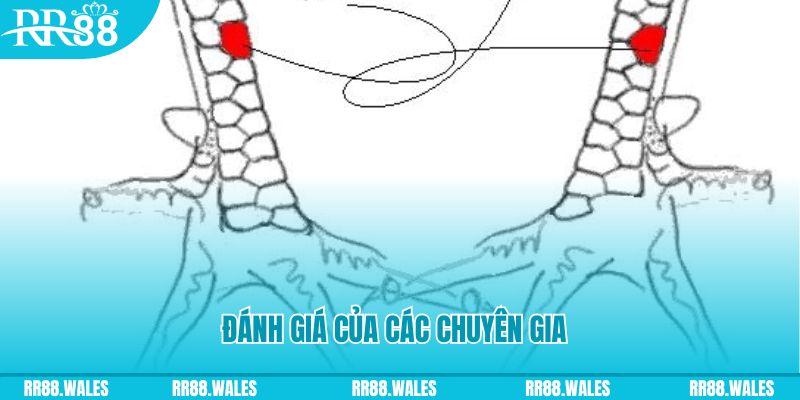 ret88 V8 Game Bài 3d