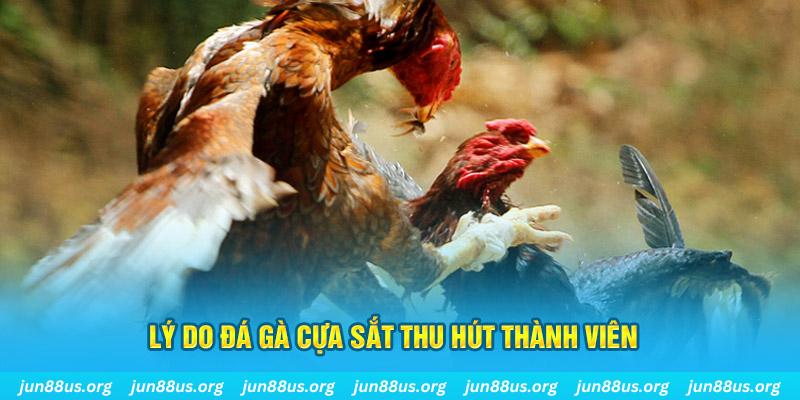 ret88 chiếm slot là gì