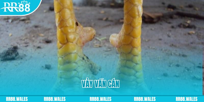 ret88 đăng nhập nổ hũ hôm nay