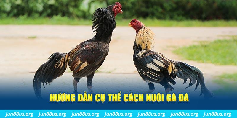 ret88 đăng nhập sòng bạc số 1